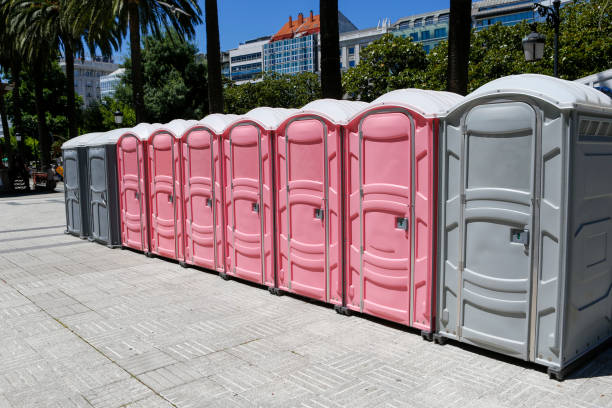 Types of Portable Toilets We Offer in Bell Canyon, CA